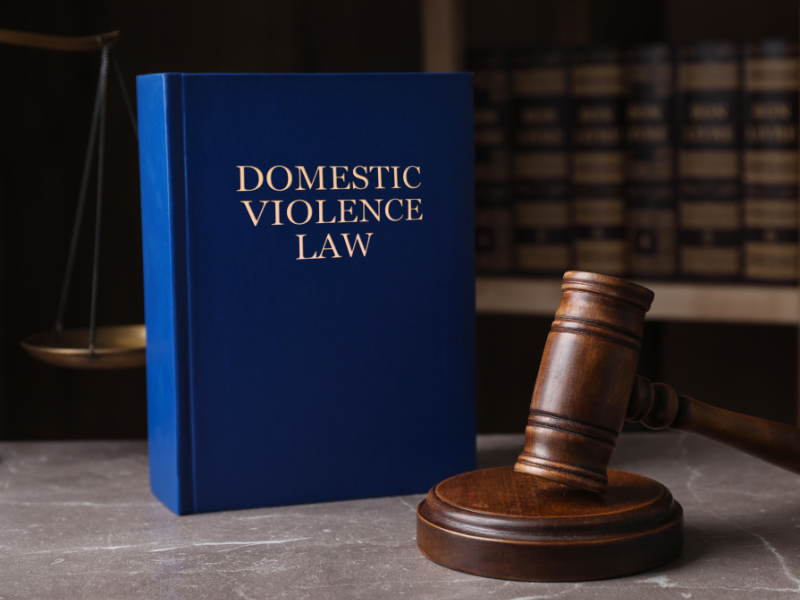 domestic violence law book and gavel